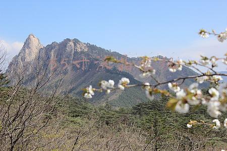 55寸液晶电视