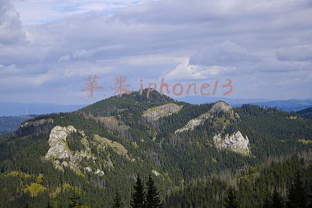 苹果iphone13和pro的区别(买iPhone 13还是13 Pro?简单明了一图看懂)