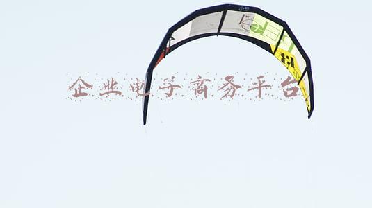 国网电子商务平台(从国网电商看国网数字化转型)