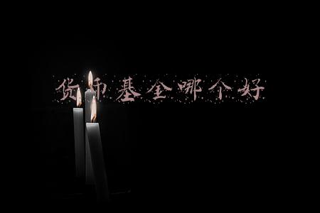 货币基金哪个好