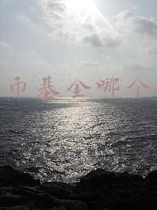 货币基金哪个好