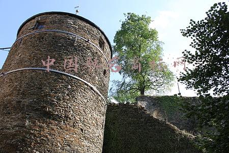 中国驰名商标网查询(「卓一慧众知识产权」驰名商标查询方式有几种，分别是哪些)