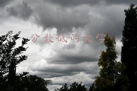 分数低的大学
