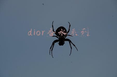 dior香水系列