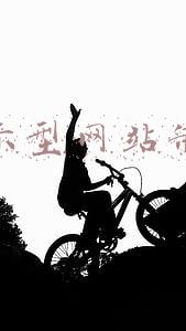 展示型网站制作