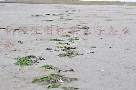 输入法图标不见了怎么办