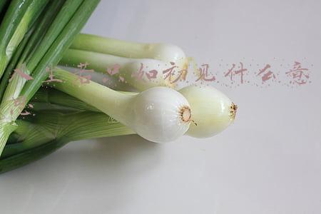 人生若只如初见什么意思