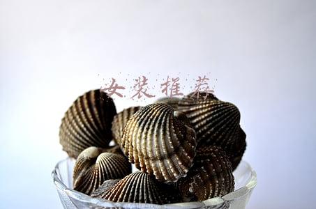 女装推荐