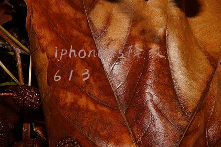 iphone4s降级613微信(激励全网的“清华女孩”，如今的故事更动人)