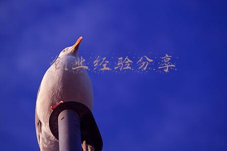 创业经验分享讲话稿(黑龙江大学在全省高校毕业生就业创业工作会上作典型发言)