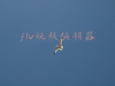 flv视频编辑器