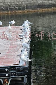 平面设计师论坛
