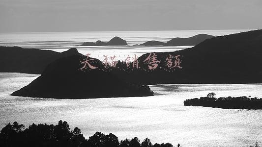 天猫销售额多少可以返回服务费(天猫年费可返还！这笔钱你拿到了吗？)