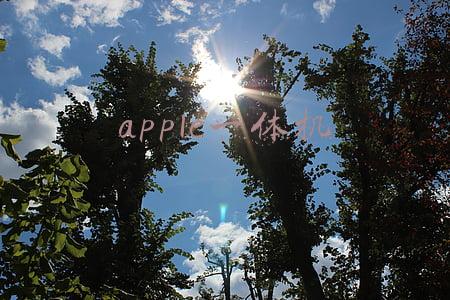 apple一体机怎么开机(苹果一体机（老款）拆机换固态步骤)