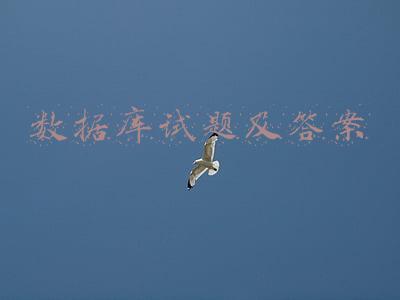 数据库试题及答案解析阜阳师范大学(露笑科技跨界“豪赌”碳化硅，价值数亿的工厂已建成，谁持“核心专利”依然成谜)