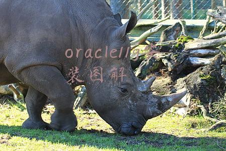 oracle11g安装图解