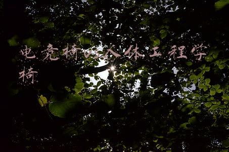 电竞椅vs人体工程学椅