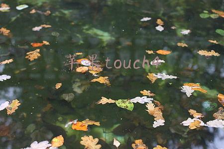 苹果touch4
