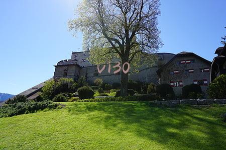 vi30