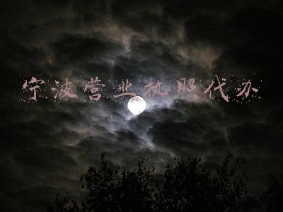 宁波营业执照代办
