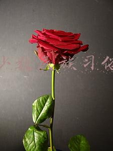 少数民族习俗节日(科普，你不知道的那些少数民族节日)