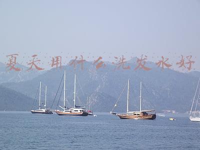 冬天适合用什么样的洗发水(美人计｜不想头发干枯毛躁？请选这些最适合冬天的洗发水)