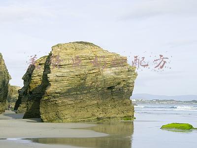 蓝臻美赞臣奶粉配方(进口奶粉美赞臣蓝臻，以科学配方给宝宝提供非凡保护力)