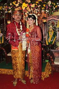 伊利婴儿奶粉