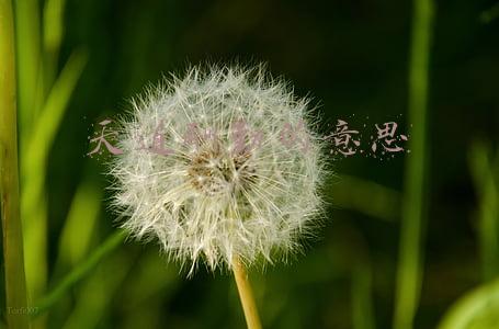 天道酬勤的意思解释一下天道酬勤的意思(是天道不公，还是您不懂“天道酬勤”的真正含义？)