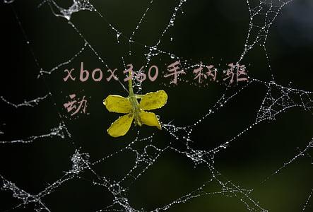 xbox360手柄驱动官网win10(玩死Win7！XBOXONE手柄PC无线适配器仅支持Win10)