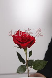 deb安装
