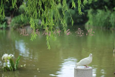 甩锅局什么意思
