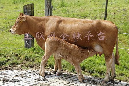 互联网金融平台