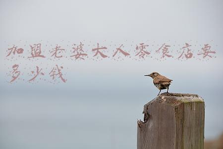 老婆大人零食店加盟费是多少-老婆大人零食加盟电话