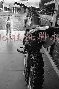 lol挂机脚本