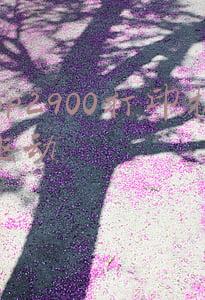 lbp2900打印机驱动装不了(企业办公战斗机 经典激光打印机百里挑六)