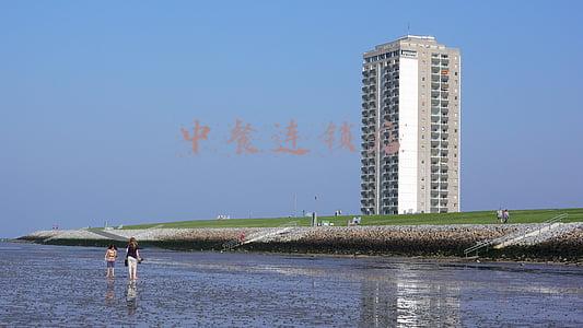 中餐连锁店软件(从卖工具到卖“工具+服务”，餐饮SaaS服务加速迭代)