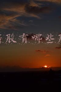蓝筹股有哪些股票