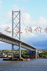天之蓝酒价格