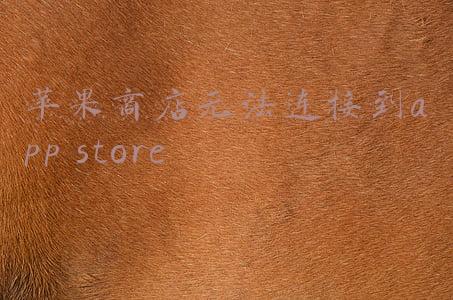 苹果商店无法连接到app store怎么下载游戏(如何高效高速地下载苹果应用与游戏？)