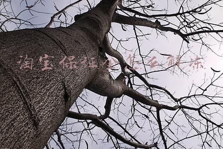淘宝保证金怎么解冻