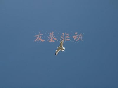 友基驱动