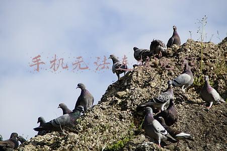 手机无法连接电脑传输文件(网络安全工程师演示：安卓手机和电脑文件传输和远程控制失败原因)