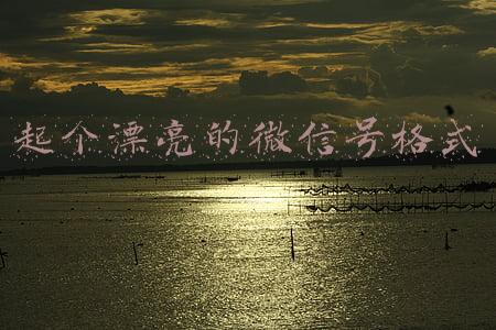 起个漂亮的微信号格式