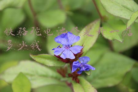 骆驼蓄电池要是坏了咋整？怎么找售后？-骆驼电池售后