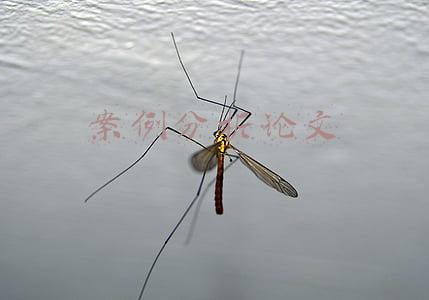 案例分析论文