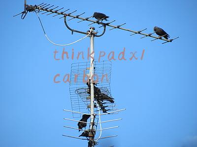 thinkpadx1carbon无法开机(年度TOP级商务本！ThinkPad X1 Carbon 2021评测)