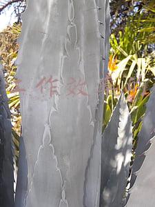 客服提高工作效率的方法(在线客服系统如何提高客户留存率？)