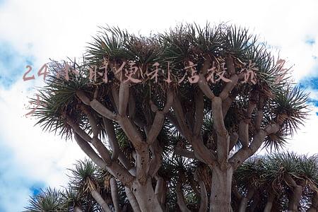 开24小时便利店成本《为什么很多人抢着开24小时便利店,到底能挣多少钱》