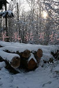 苹果新耳机